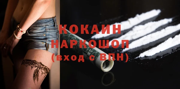 бошки Алексин