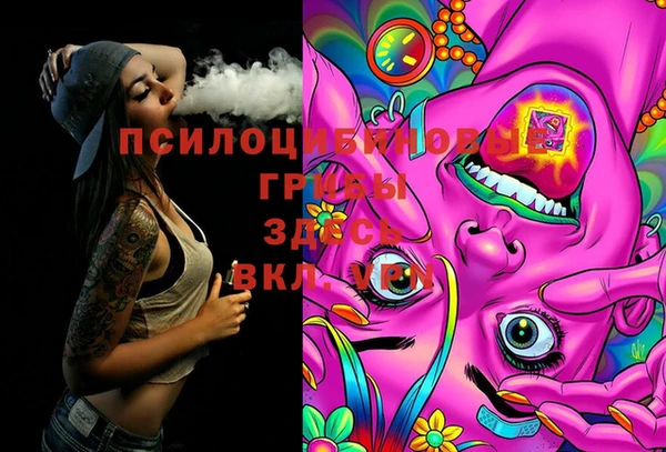 бошки Алексин