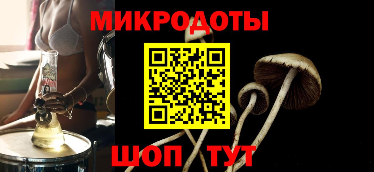 Галлюциногенные грибы прущие грибы Белорецк